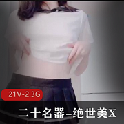 绝世美X21V2.3G二十神器