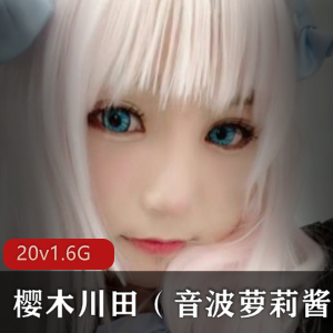 超能妹子音波妹子酱胡萝卜合集