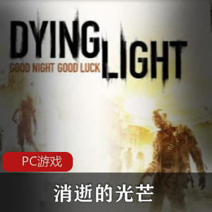 消逝的光芒：地狱突袭加强版