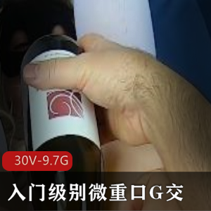 P站MsFine微口味重G交洋马小扩张合集30V9.7G收藏