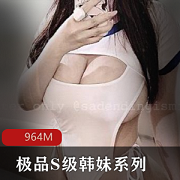 精选S级韩妹系列-高颜值身材表现极烧-自动挡1.4G