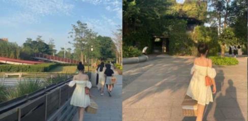 Momo桃乃木Twitter圆形有尺度第二套4V2.3G百度云版