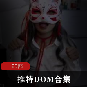 推特DOM-窒息作品合集：23部视频精彩纷呈