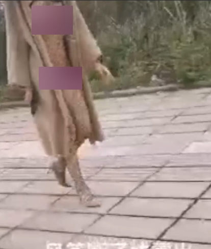 大神华仔户外风筝断线教程33.8G网盘下载