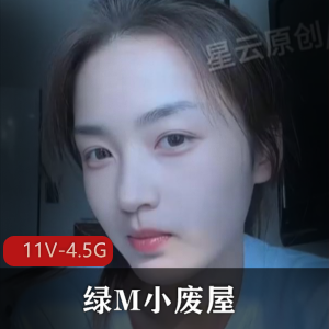 绿M小废屋抖音风剪辑合集2：全网首发，11V4.5G大小，精彩剧情不容错过！