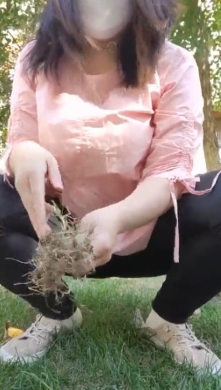 熟女风韵柏欣彤广场舞视频合集57g120段精彩舞蹈收藏