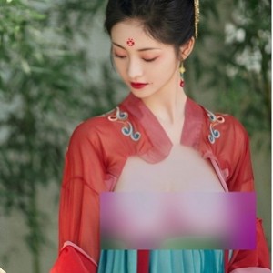 [自行打包] 合集去衣 古风明星周姐小程同学脑花何野池蛋宝610骆歆 [25p+30m][百度盘]