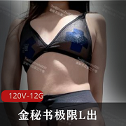 推特金秘书户外极限闪现合集120部12G毛毛超多