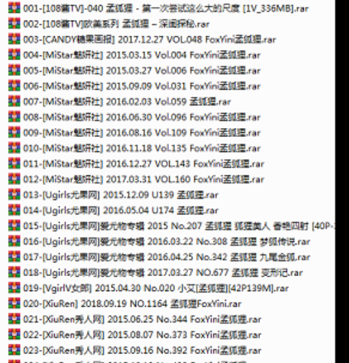 孟狐狸高清劲舞私房套装41套10.9G火辣上线