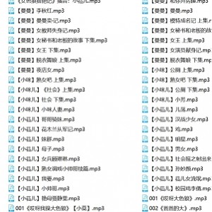 骚麦银词艳曲合集397部79G车载音频深夜必备