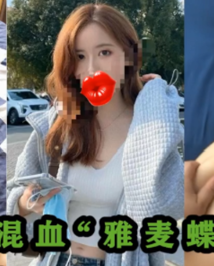 91Z先生高清特辑24部2.2G硬核收藏