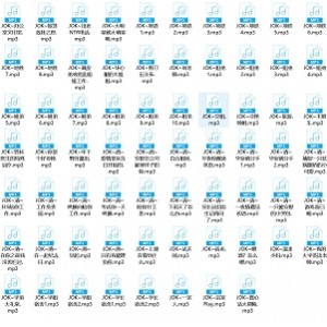推特JOK甜蜜语音68部1.6G深夜必听